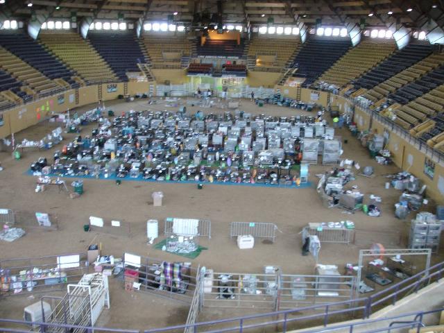 Dog Arena at Parker