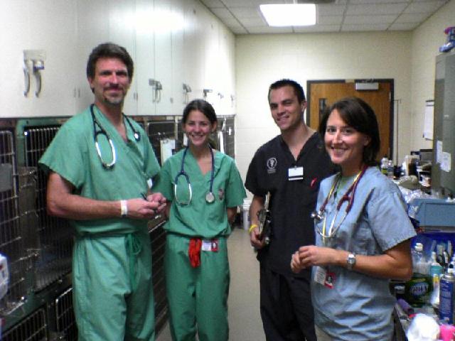 Volunteer veterinary team