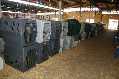 STACKED TRANSPORT CAGES