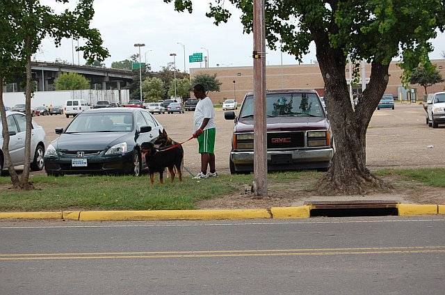 Outside the Shelter