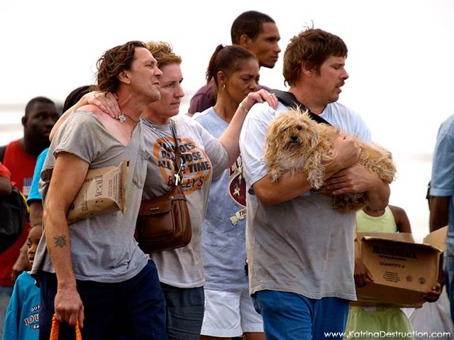 Evacuees with dog